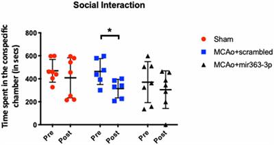 Mir363-3p Treatment Attenuates Long-Term Cognitive Deficits Precipitated by an Ischemic Stroke in Middle-Aged Female Rats